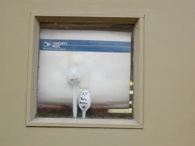 Pulire un Tappetino da Ingresso: Trasforma l' Entrata della Tua Casa con Tre Facili Passaggi