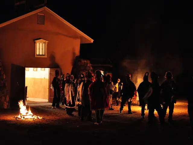 Infiammazioni domestiche, che hanno ucciso in Homburg.