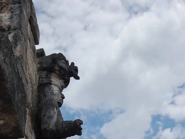 La foresta pluviale amazzonica non è incontaminata; si stima che ospiti oltre 10.000 strutture...