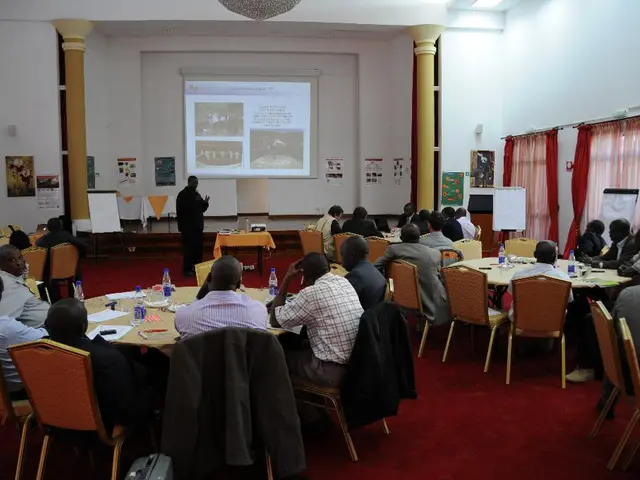 Funzionalità delle Finestre SQL per l'Aggregazione dei Dati e gli Scopi Analitici