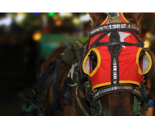 Il Showcase espone la prima sezione della casa CrossMod del paese, un'innovazione pionieristica...