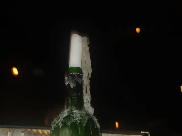 Rimosuzione delle opzioni di pagamento da WhatNot: Istruzioni e soluzioni ai problemi