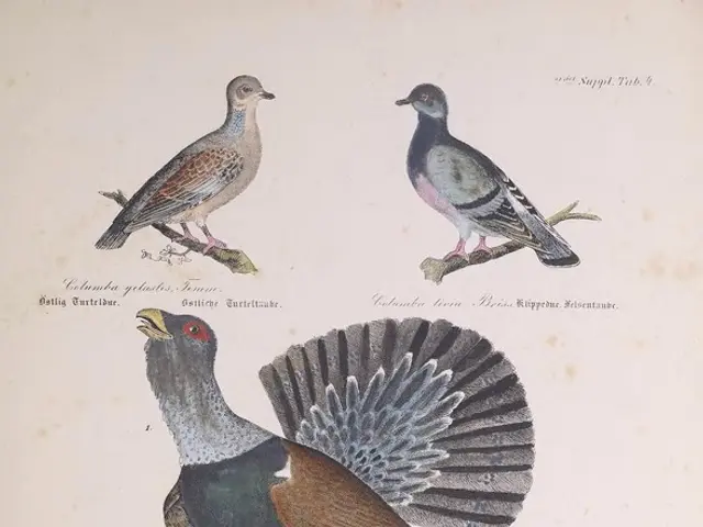 Il papato di Papa Leone, al suo centesimo giorno, si fonda su Sant'Agostino, l'introspezione e...