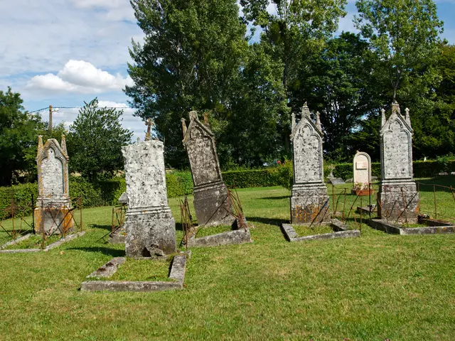 Figure Controversevoli Pronosticano Spans di Vita Centenario: La Vita Eterna Potrebbe Essere a un...