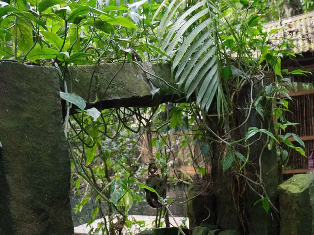 Kensington Exploration rivela alte concentrazioni minerali e struttura venosa coerente