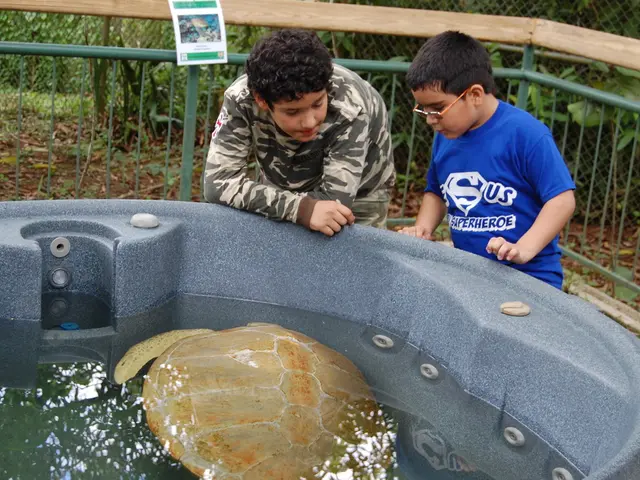 Rilascio della fauna selvatica: reintroduzione di 500 tartarughe di palude nel loro habitat...