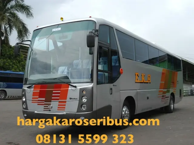 La proprietà di La Mirada del candidato al Consiglio Ion Sarega è in vendita con un pignoramento.