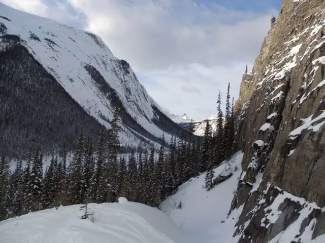 Aurora Boreale prevista per 15 stati sabato, antecedente l'evento 'Luna di Sangue' atteso