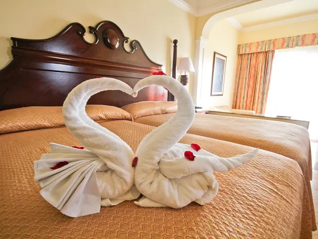 Cuscino Portatile Progettato per Riposare durante i Voli in Aereo