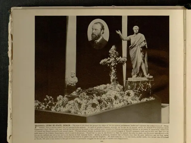 Offerta DVD per Esplorazioni Emozionanti