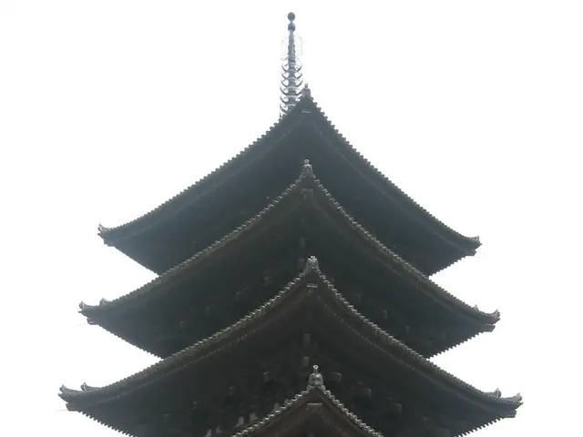 Iniziative di investimento delle corporation cinesi nella controversia Ca