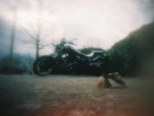 La strada è ostruita perché un albero è crollato, causando la perdita di equilibrio del...