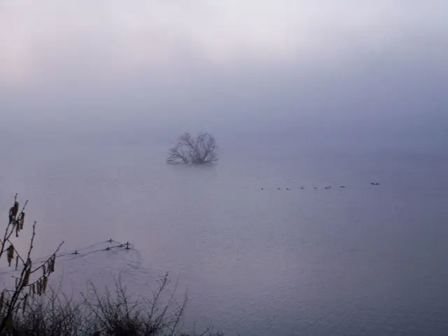Ruolo cruciale del Quebec per l'umidex