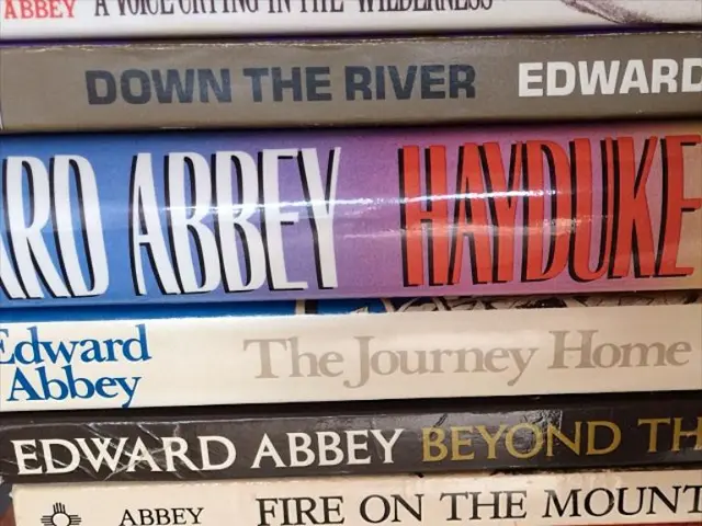 Borse di studio per studenti di Letteratura nell'anno 2024