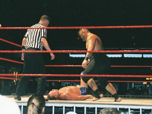 Un pugile con una storia nel UFC annuncia il ritiro dopo una vittoria col KO sul ring