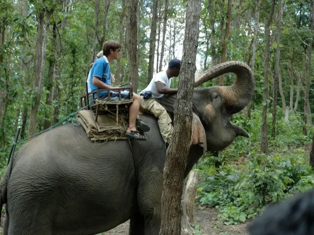 Agenzia di Viaggi: £400 in Più Rispetto alle Prenotazioni Dirette di BA – Indagine di Tony...