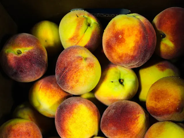 Chiusure su larga scala dei negozi Apple indicano una situazione pandemica peggiorata