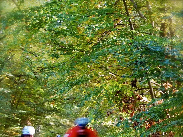 Numerosi feriti in seguito a un tragico crollo a eventi di bicicletta nella Foresta Nera, lasciando...