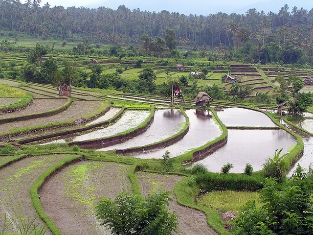 Isola di Con Dao che pianifica lo sviluppo turistico