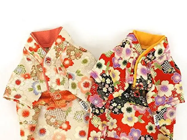 Il vestito maxi a mosaico di Anne Hathaway è un'opera d'arte, e questa riproduzione da $23...