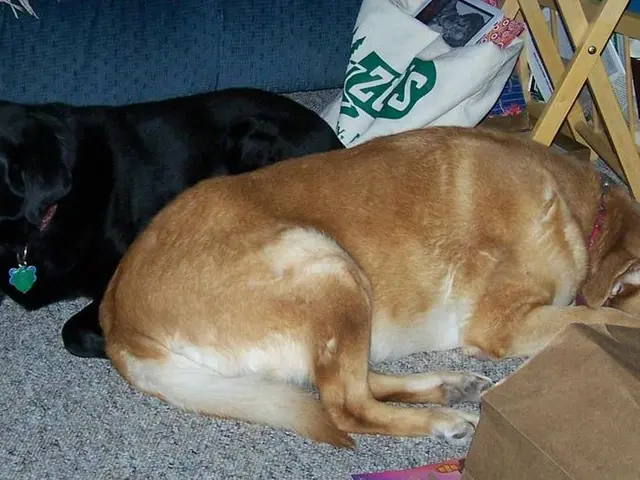 Specialista di magazzinaggio segnala l'errore costoso e ripetuto frequente nel riporre le coperte...