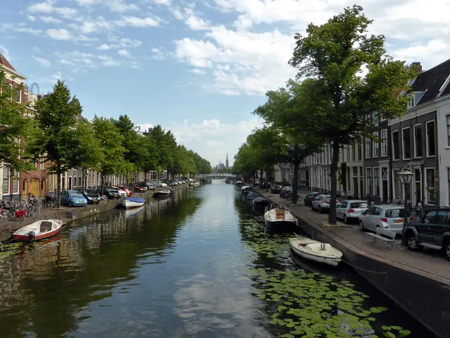 Il lavoro sulla spiaggia di Sangone a Torino dovrebbe iniziare entro la fine del mese, con il mare...