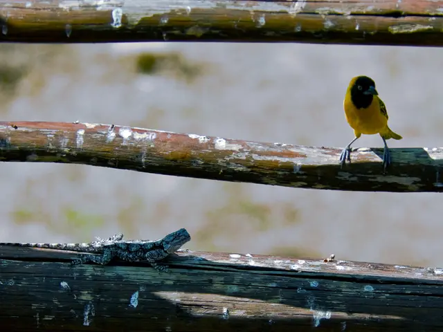 Minaccia Biosecura Potenziale: Specialisti Allertati per gli Intrusi Ecologici Emergenti nel Regno...