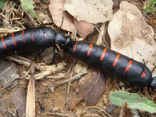 Comprendere la Pelle Secca: Le Basi e le Caratteristiche