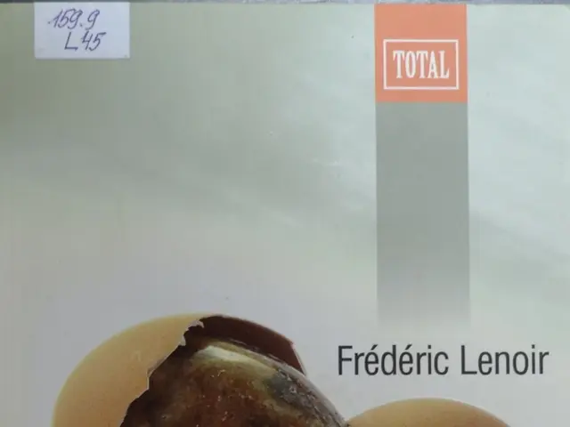 Affinando la Tecnologia della Rompitura delle Uova: il Dispositivo Innovativo per Rompere le Uova