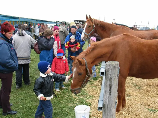 Toronado, lo stallone di Swettenham AQAU, non parteciperà alla stagione prochain degli allevamenti...