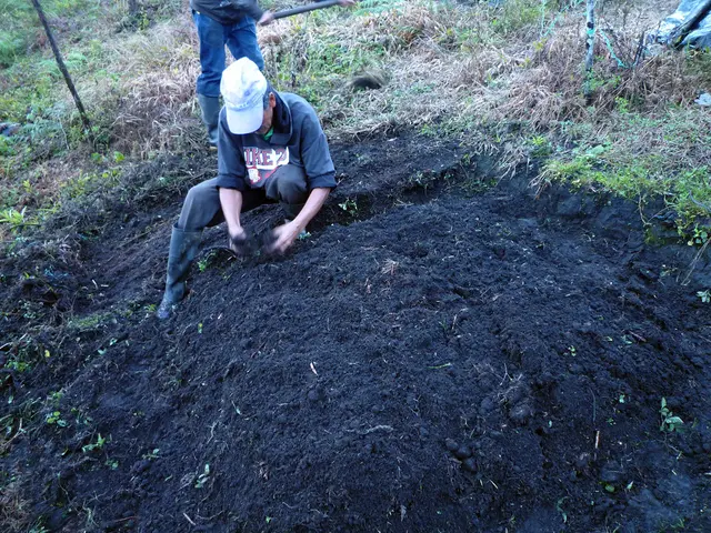 Migliorare il terriccio di Denver per una prospera piantagione: svelare le strategie chiave