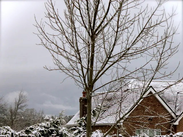 Prepararsi per l'inverno rimanente: assicurati che la tua casa e il tuo giardino siano pronti prima...