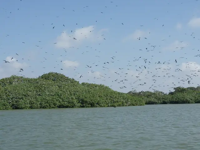 Condizioni meteorologiche previste a Junín l'8 settembre 2025