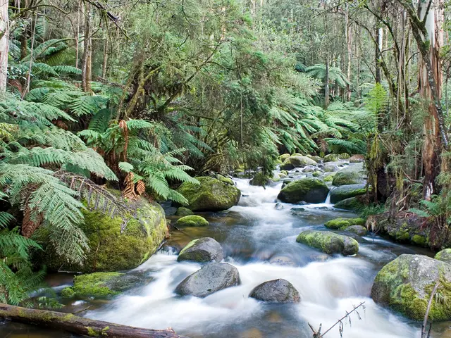 Film di Taylor Sheridan, valutato al 87% su Rotten Tomatoes, sta avendo un successo notevole su...