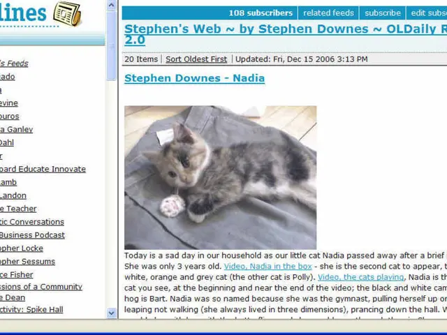 Potenziale frode il salvataggio degli animali di Instagram potrebbe essere tenero. Riconoscere...