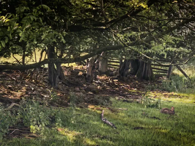 Pianificazione urbana e conservazione ambientale