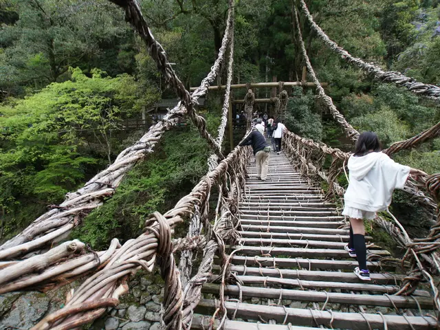 Ponte venerabile, risalente a secoli e protetto da copertura, mantiene la sua presenza - trovato in...