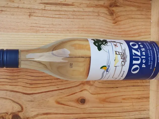 Il piano a lungo termine del debito di Basilea è stato criticato da McKernan dell'FDIC come...