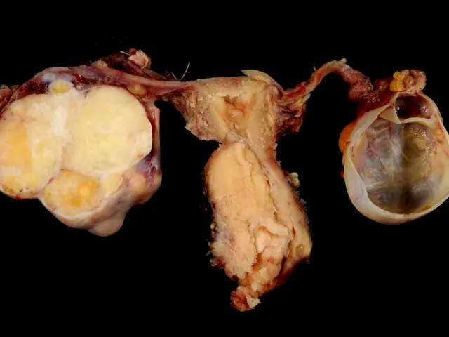 L'attore cinematografico David Strathairn parla dell'incanto del cinema e delle rappresentazioni...