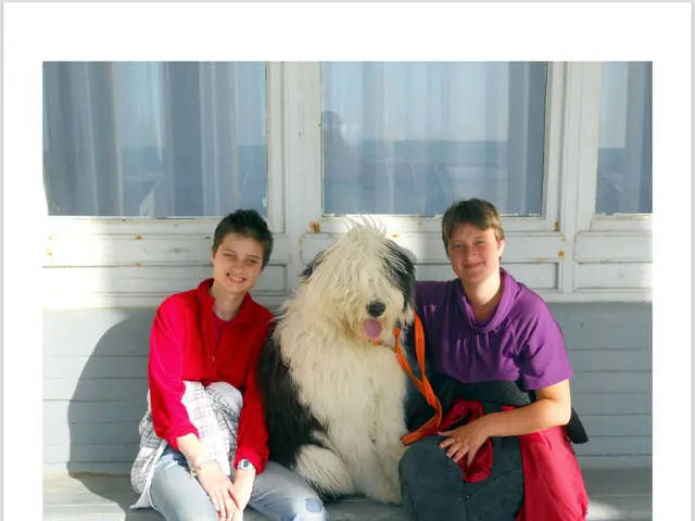 Treno involvement con donna e cane a Glencoe, autorità confermano morti