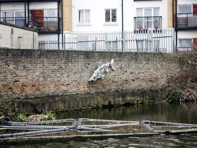 Attivisti Reagiscono alle Politiche Ambientali di Trump... Ancora Una Volta