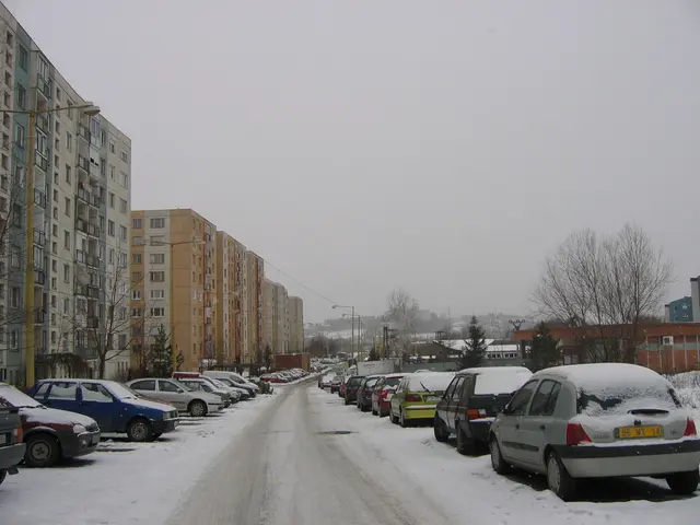 Rimozione della neve e manutenzione del tetto dopo la nevicata invernale