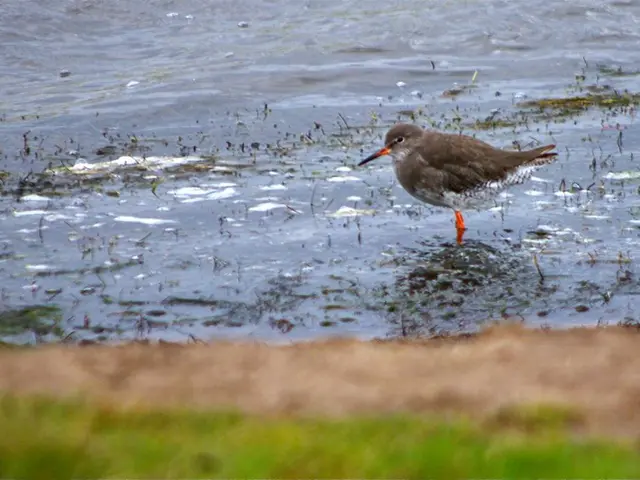 La Turchia impone la fornitura di acqua potabile gratuita sui voli aerei