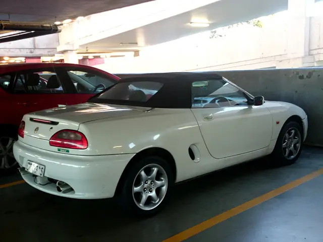 Protezione contro le inondazioni rafforzata a Rumpenheim: completamento del progetto di ristrutturazione del diga