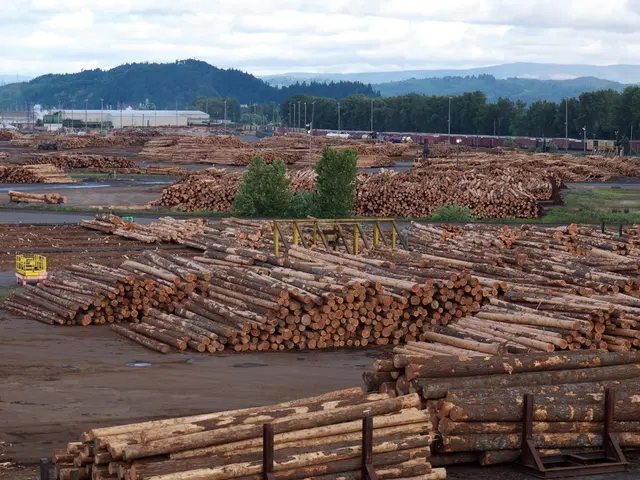 Idee di organizzazione ispirate alla natura che accendono meraviglia e curiosità per le famiglie