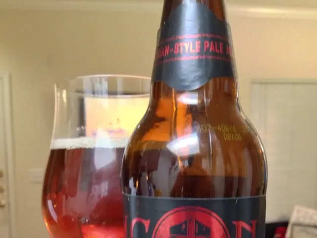 Transazioni Finanziarie nel Regno Unito: Analisi dei Mezzi di Pagamento