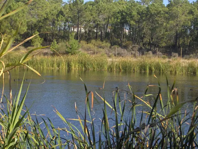 Regioni Nord-Ovest, Yorkshire e Midlands/eventi estesi di siccità, colpite in totale quattro...