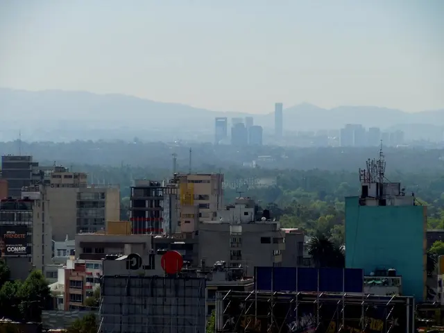 La morte nella sabbia di Leonardo Padura: Una narrazione che descrive il senso di Verlust e...