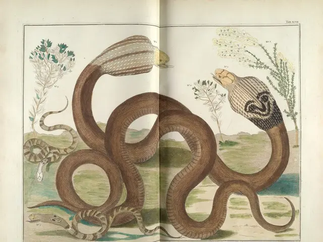 Singapore Post Lancia francobolli che mettono in mostra le specie animalesche a rischio critico...