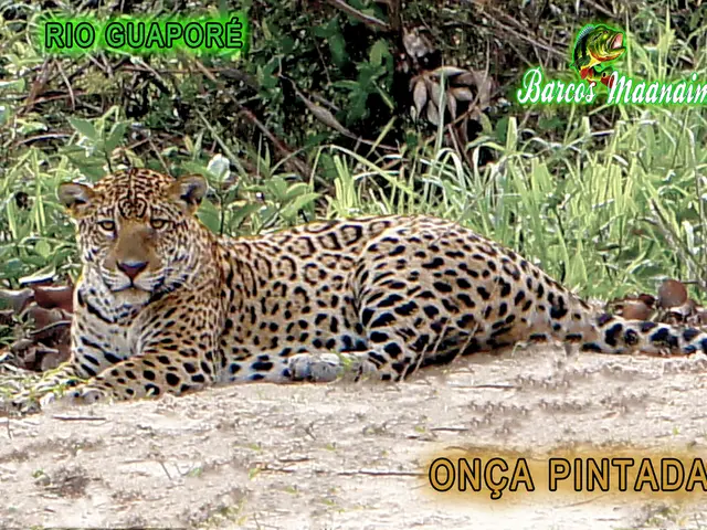 Animali che mostrano eccezionali capacità di autoguardia e tecniche di intervento per le malattie